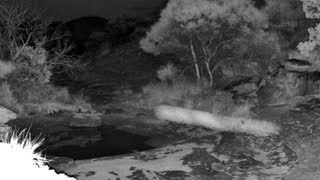 Still 2 from this detection