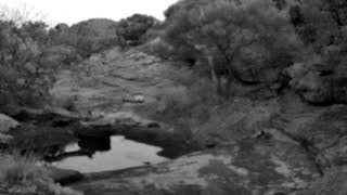 Still 2 from this detection