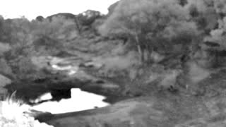 Still 1 from this detection