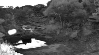 Still 2 from this detection