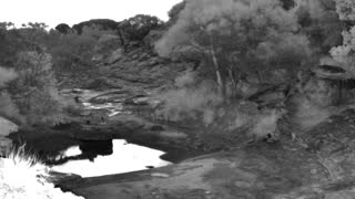 Still 1 from this detection