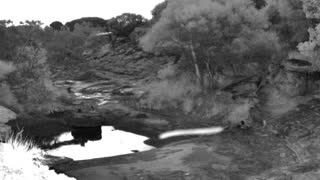 Still 2 from this detection
