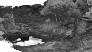 Still 2 from this detection