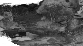 Still 1 from this detection