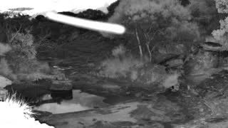 Still 2 from this detection