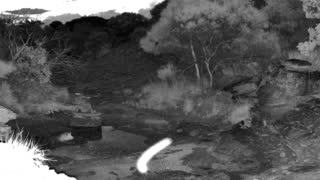 Still 1 from this detection