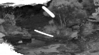 Still 2 from this detection