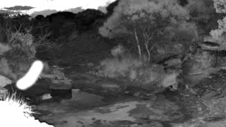 Still 1 from this detection