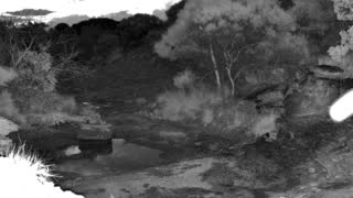 Still 2 from this detection