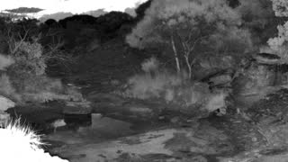 Still 3 from this detection