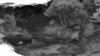 Still 2 from this detection