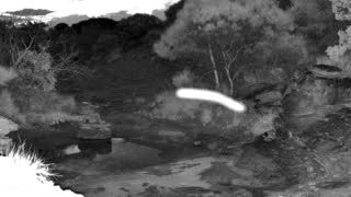 Still 3 from this detection