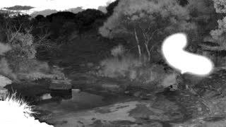 Still 2 from this detection