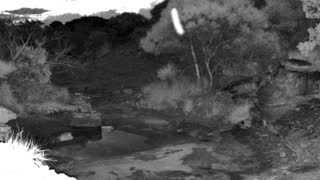 Still 3 from this detection