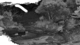 Still 2 from this detection