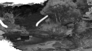 Still 3 from this detection
