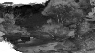 Still 1 from this detection