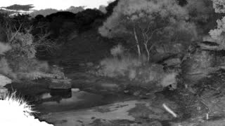 Still 2 from this detection