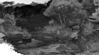 Still 1 from this detection