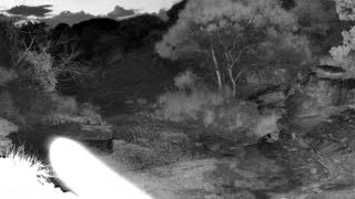 Still 2 from this detection