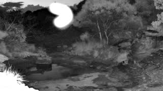 Still 2 from this detection