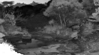 Still 3 from this detection