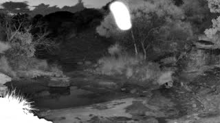Still 1 from this detection