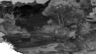 Still 2 from this detection