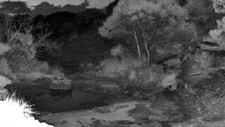 Still 1 from this detection