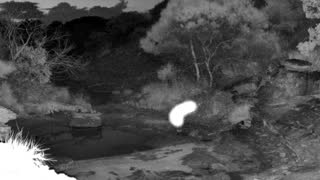 Still 3 from this detection
