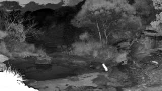 Still 2 from this detection
