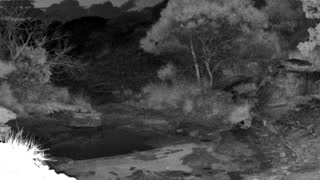 Still 1 from this detection