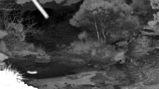 Still 2 from this detection