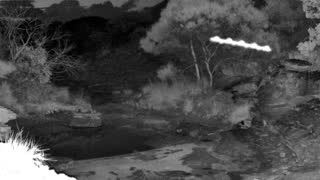 Still 3 from this detection