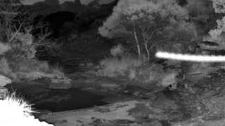 Still 2 from this detection
