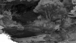 Still 2 from this detection