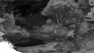 Still 2 from this detection