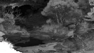 Still 1 from this detection