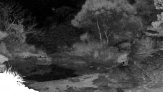 Still 2 from this detection