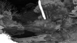 Still 1 from this detection