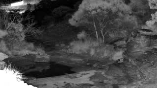 Still 3 from this detection