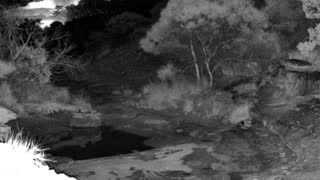 Still 1 from this detection