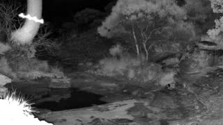 Still 2 from this detection