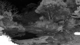 Still 2 from this detection