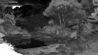 Still 2 from this detection