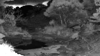 Still 1 from this detection