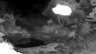 Still 1 from this detection