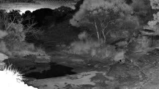 Still 1 from this detection