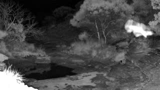 Still 2 from this detection