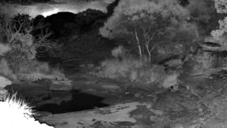 Still 1 from this detection
